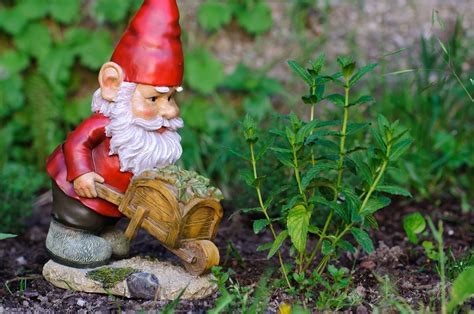 The Fascinating History Of Garden Gnomes And Why You Should Buy One