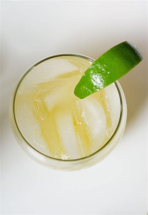 The home of black rose cocktail recipes on the web. Skinny Spicy Tequila Cocktail