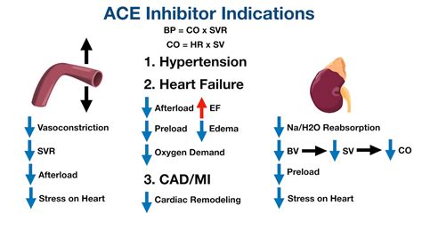 Ace Inhibitors Drug List Side Effects Mechanism Of Action Example