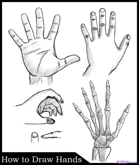 How To Draw Hands Step By Step Hands People Free