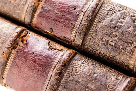 Old Vintage Leather Book Spines With Gol — Stock Photo © Wingnutdesigns