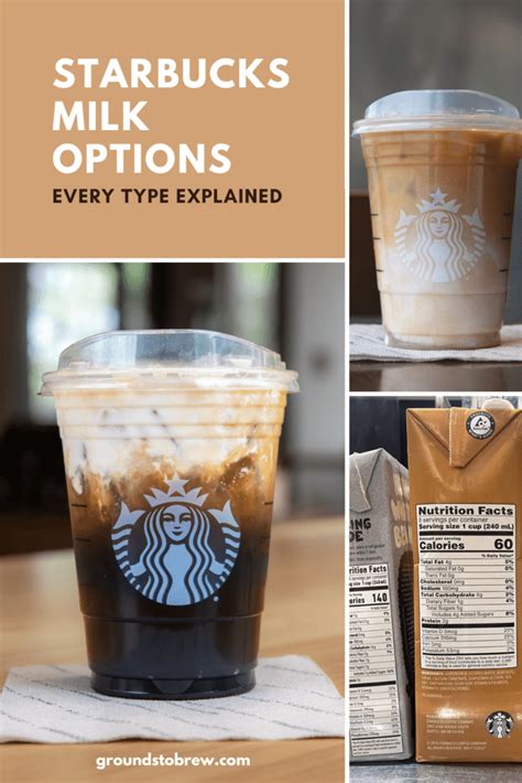 10 Starbucks Milk Options Including Dairy Alternatives Grounds To Brew