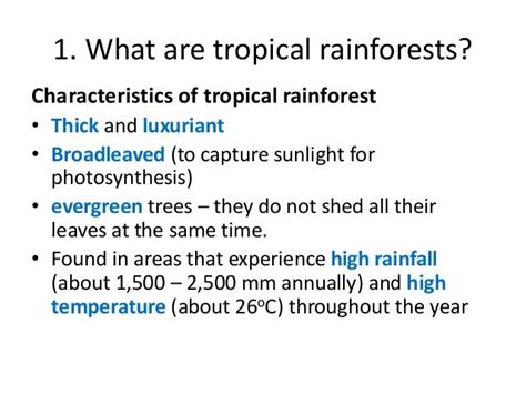 When Will The Amazon Rainforest Be Gone Characteristics Of A Rainforest