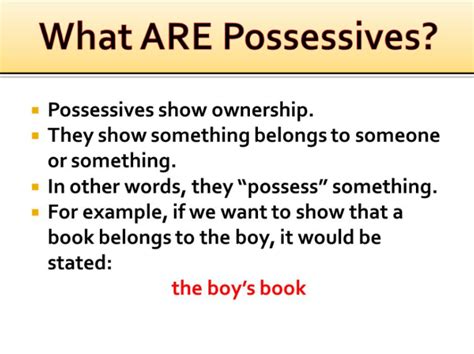 Plural Possessive - Meaning, Types & More