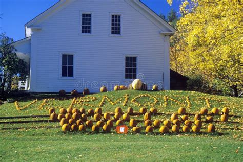Harvested Pumpkins Along Scenic Route 100 In Autumn Vt Stock Photo