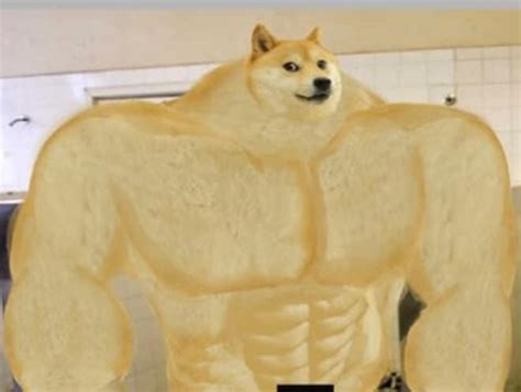 Doge King Meme Apsgeyser