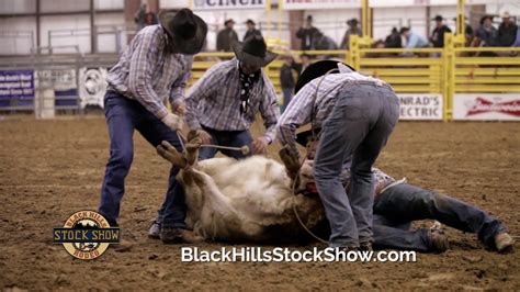 Black Hills Stock Show Official Ranch Rodeo Broncs For