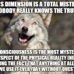 The full moon names used by the old farmer's almanac come from a number of places, including native. Optimistic Moon Moon Wolf Vanadium Wolf Meme Generator - Imgflip