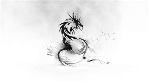 Black And White Dragon Wallpaper 67 Images