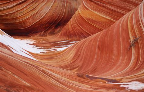 Hiking Arizona's Iconic Wave: The Winter Survival Guide