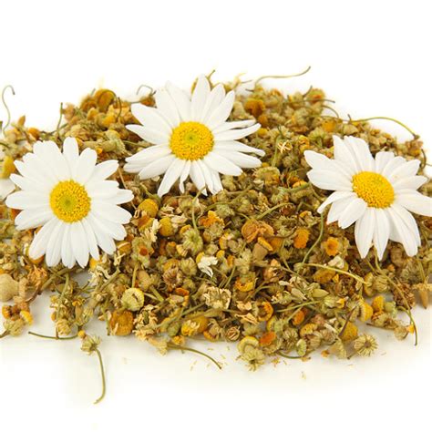Dried Chamomile Flowers Mdeca