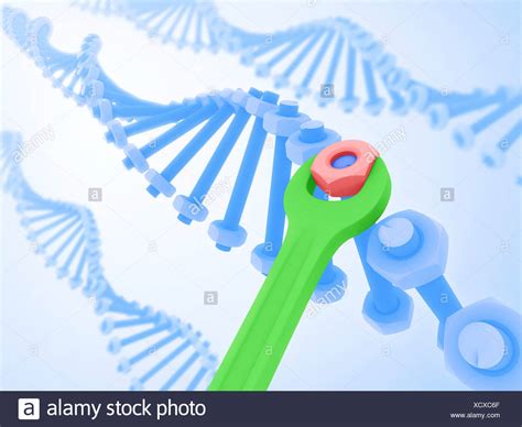 Genetic Engineering Concept High Resolution Stock Photography And
