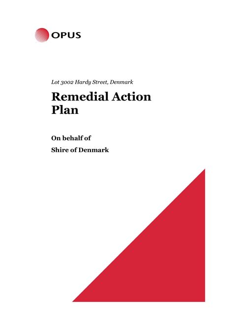 Remedial Action Plan 9 Examples Format Pdf Examples