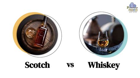 Scotch Vs Whiskey 4 Differences And How Scotch Tastes Different Than Other Whiskeys