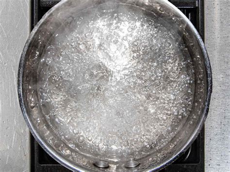 Everything You Ever Wanted To Know Plus More About Boiling Water The Food Lab