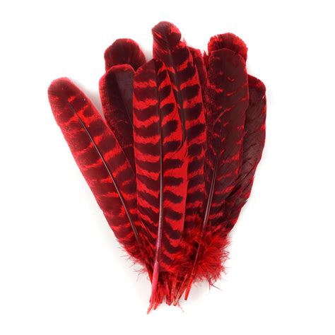 Wild Turkey Feathers Natural Barred Quills 8 12” Dyed Hot Red For Millinery Dream Catchers