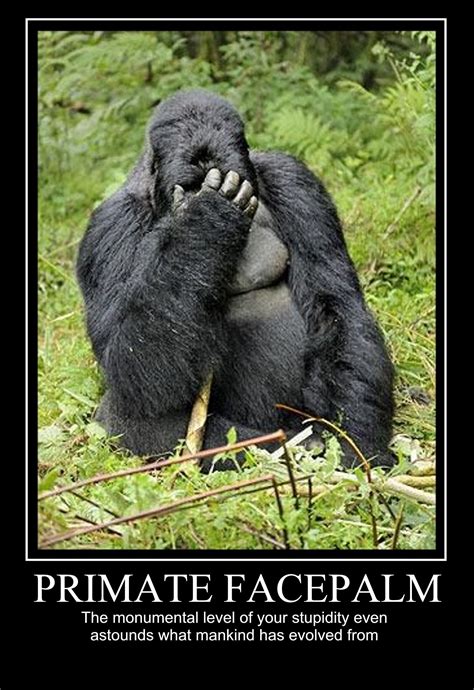 Primate Facepalm Gorilla Primates Monkeys Funny