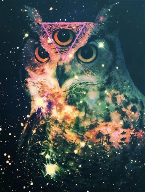 Hipster Owl Psychedelic Art Owl Trippy