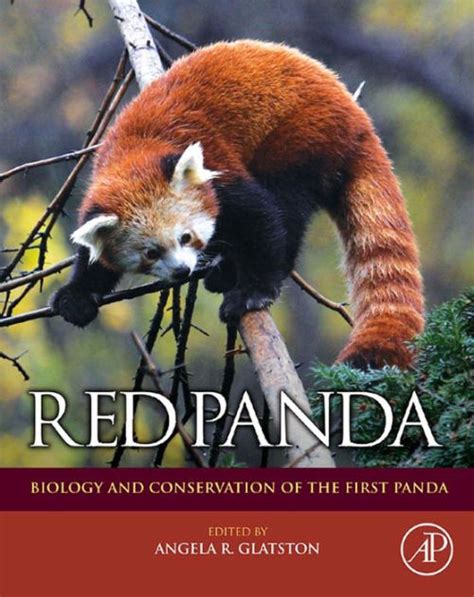 Red Panda Biology And Conservation Of The First Panda By Angela R