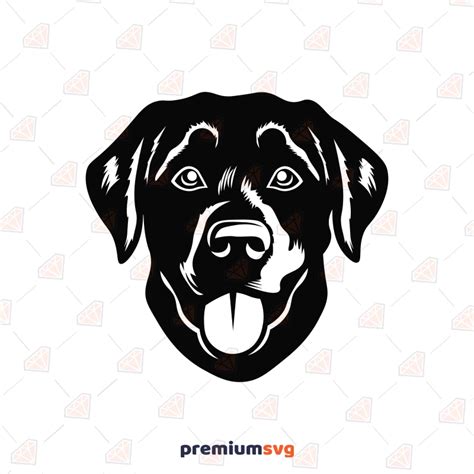 Black Lab With Wings Svg