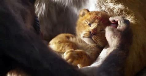 Le Roi Lion Live Action Disney + - THE LION KING Trailer #1 NEW (2019) Disney Live Action Movie HD - Vidéo