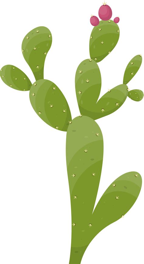 Free Cartoon Desert Cactus Plant 21611995 Png With Transparent Background