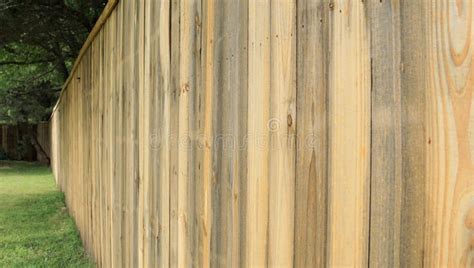 A Privacy Tall Wood Fence Showing The Pine Wood Stock Image Image Of
