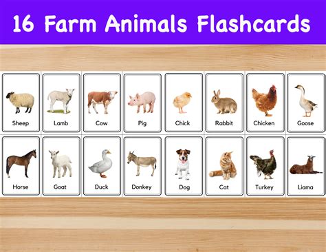 16 Farm Animals Flashcards Image Cards For Kids Etsy