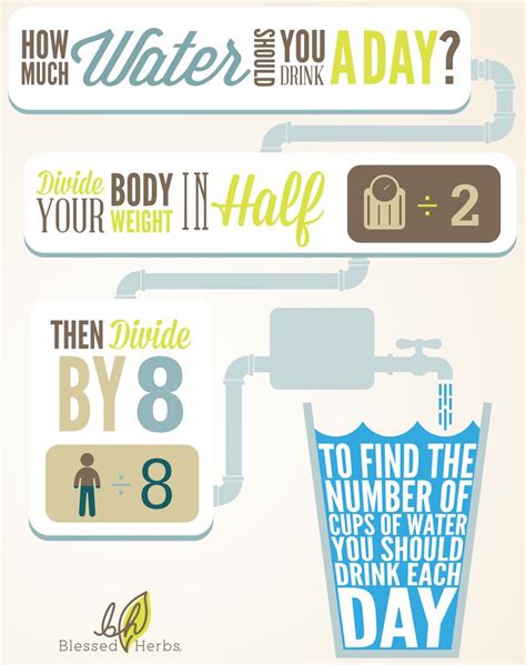Infographic How Much Water Should You Drink Per Day Drinks