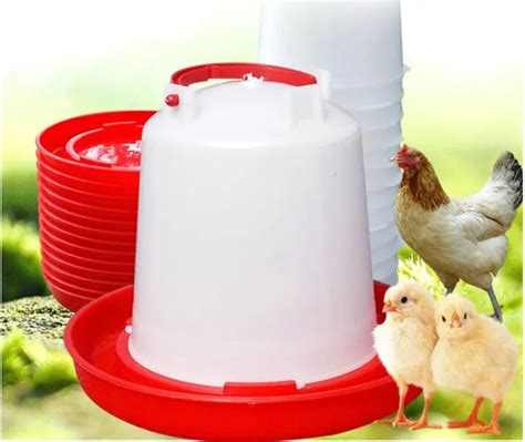 15l Plastic Feeder Chicken Hen Poultry Drinker Waterer Feeding