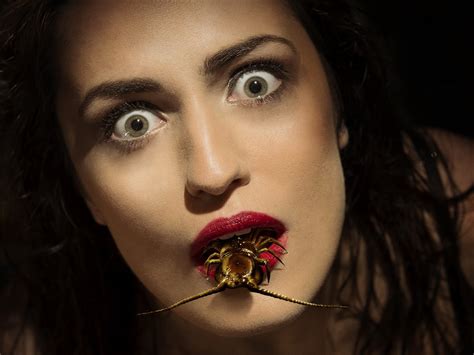 Woman With Brown Spider On Her Mouth Photo Hd Wallpaper Wallpaper Flare