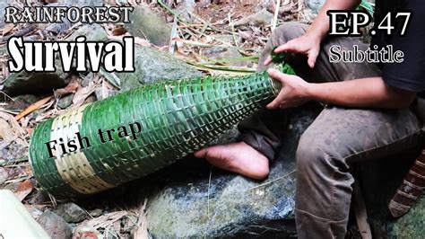 thử thách sinh tồn trong rừng mưa một mình ep 47 survival alone in the rainforest youtube