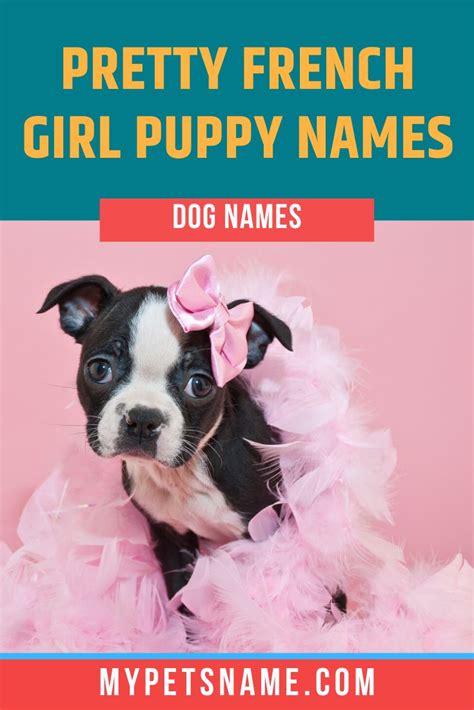 Girl French Dog Names French Dog Names Dog Names Puppies Names Female