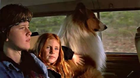 Lassie Film Info Movie Trailer And Tv Schedule Tv Guide Uk Uk Film Soaps Sports