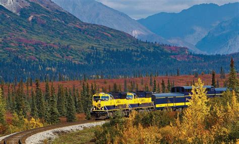 Fairbanks And Denali Backcountry Northern Lights Escape Alaska