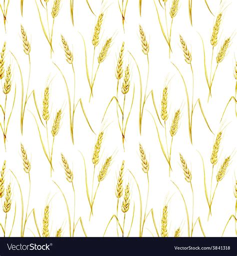Wheat Pattern Royalty Free Vector Image Vectorstock