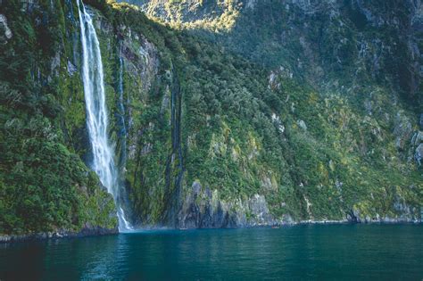 Waterfalls In Milford Sound Realnz