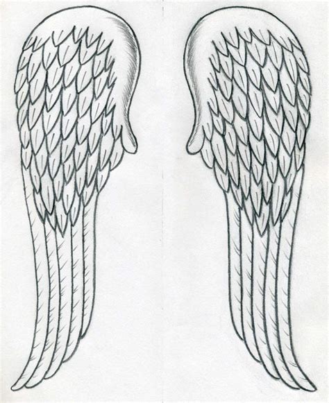 Wingspan camelpardia 258 31 the. How To Draw Angel Wings Quickly In Few Easy Steps