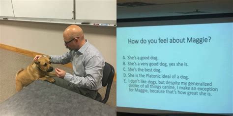Professor Brings Dog To Class And Gives Students A Pop Quiz About Her