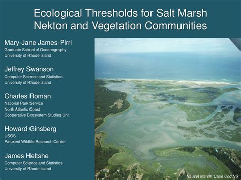 PPT Ecological Thresholds For Salt Marsh Nekton And Vegetation