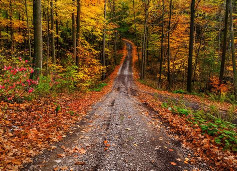 Autumn Trails Photograph By Brad Allan Fine Art America
