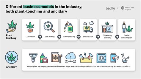 Cannabis Business Models 101 Types Of Cannabis Businesses Leafly