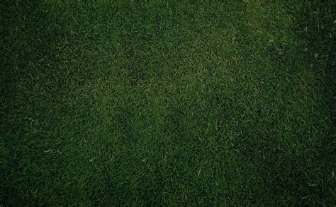 Dark Green Texture Grass Hd Wallpaper Green Grass Background Fall Wallpapers Grass Wallpaper