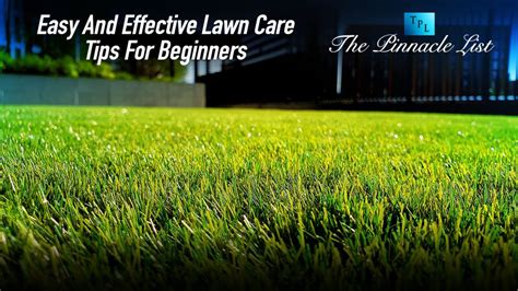 Easy And Effective Lawn Care Tips For Beginners The Pinnacle List