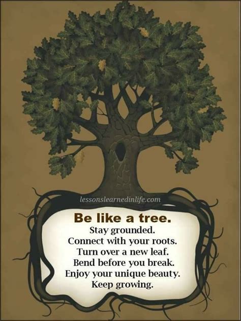 Pin By Sharon M On Inspirational Tree Of Life Quotes Tree Quotes