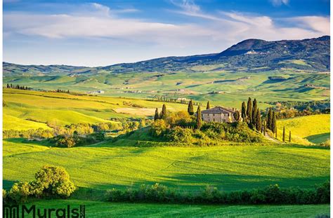 Tuscany Landscape At Sunset Wall Mural