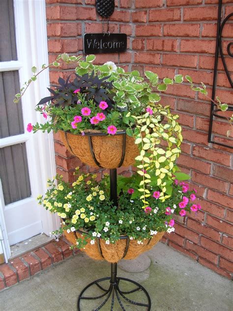 Shop a wide selection of products for your home at amazon.com. 62 best Sweet potato vine images on Pinterest | Sweet ...