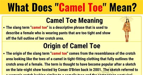 A camel is a horse designed by committee. Moose British Slang