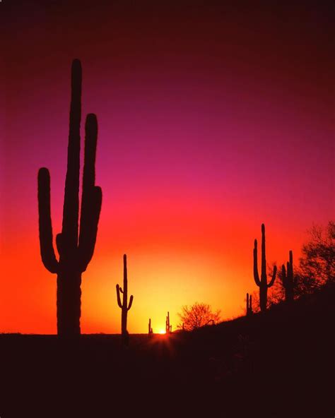 Desert Sunset By Frank Houck Desert Sunset Sunset Photography