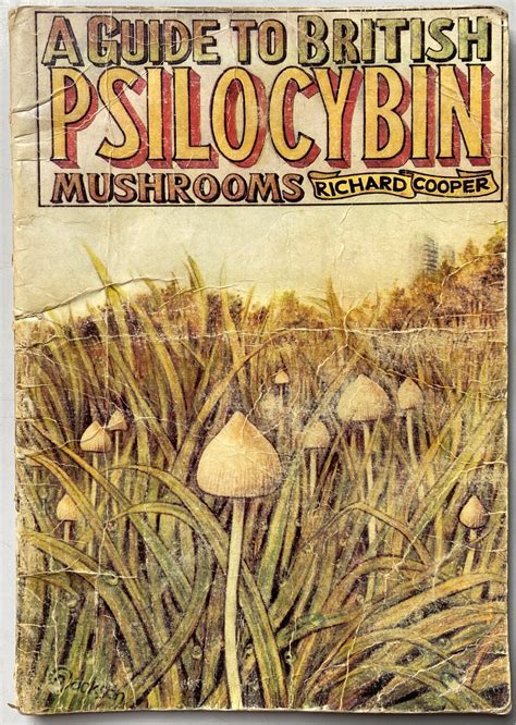 A Guide To British Psilocybin Mushrooms